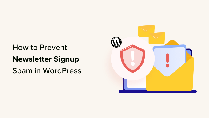 How to Prevent Newsletter Signup Spam in WordPress